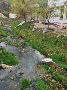 Koroška ribiška družina (8)